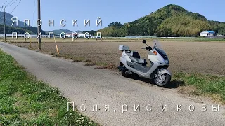 Сельхоз бложик - катаюсь на скутере по японскому пригороду