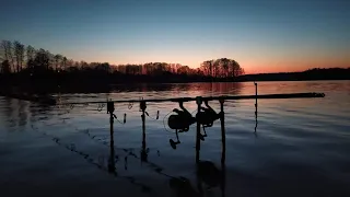 VI Wojna Karpiowa na łowisku Jerzyn - podsumowanie