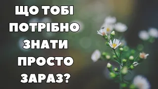 Що тобі потрібно знати прямо зараз❓🤔🧐💬🔮 #тароукраїнською