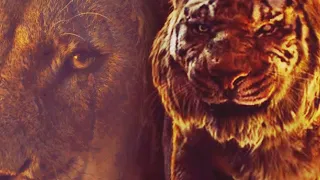 Scar vs Shere Khan (FANMADE)