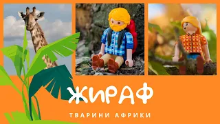 Південно-африканський жираф. Тварини Африки | КоМарко