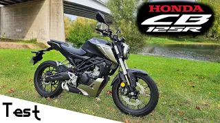 "Test" 125cc dans un châssis fait pour 300cc 🤔 "Honda CB125R de 2018"