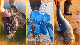 Catching Giant Fish🦐🐙Deep Sea Creatures (Catch Shark, Catfish, Crab, Seafood) Tik Tok China #17