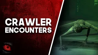 IT CAME TO KILL - 5 DISTURBING STORIES OF CRAWLER SIGHTINGS - What Lurks Beneath