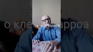 Как на 100 % победить клеща варроа . Рассказывает старейший пчеловод с 65 летним стажем