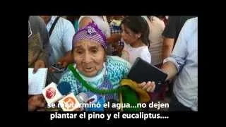Funeral de papay Nicolasa Quintreman: Berta Quintreman habla con prensa (27dic13)