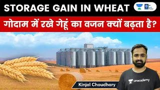 What Is Storage Gain In Wheat? Why Punjab Procurement Agencies Are Demanding Concession This Season