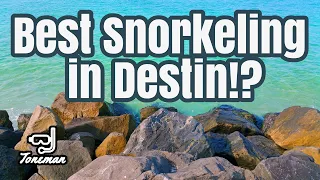 Best Snorkeling in Destin Florida?!!