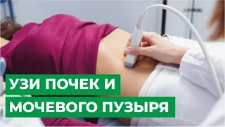 УЗИ почек и мочевого пузыря