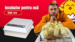 Procesul de incubare pas cu pas, Incubator Demetra DM-64. Инкубатор Деметра ДМ-64 - Magazin FlexMag