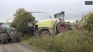 Maishäckseln nonstop - Claas Jaguar 970 - LU Spitzner - Fendt Vario 828 - Fliegl ASW 393 usw