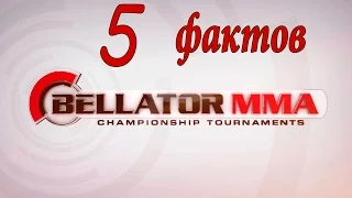 5 ФАКТОВ О BELLATOR