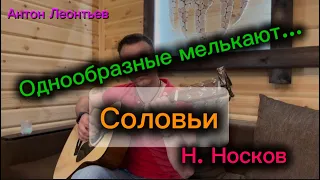 Соловьи-Николай Носков (cover) под гитару #АнтонЛеонтьев