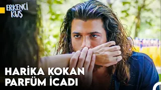 Sanem'in Aşkı Bulma Yolculuğu #140 - Erkenci Kuş