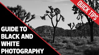 Canon Quick Tips: Guide to Black and White Photography