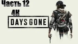 Days Gone Часть 12 Обитель Зла (МАКСИМАЛЬНАЯ СЛОЖНОСТЬ)