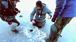 НЕ ЗАХОДИТ СРАЗУ В ЛУНКУ! Поставили жерлицы в КОРЯГАХ! Зимняя рыбалка 2020 - 2021! Ловля щуки!