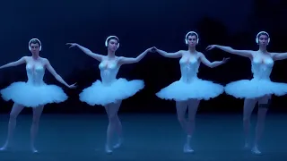 Танец маленьких лебедей neural network 2023