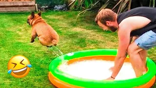 21 minutes Funny Dogs And Cats Videos 2024 😅🐱🐶 New Funniest Animal Videos 2024 😂 Part 2