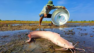 amazing fishing! catch a lots of catfish in little water by hand a fisherman, best video fishing