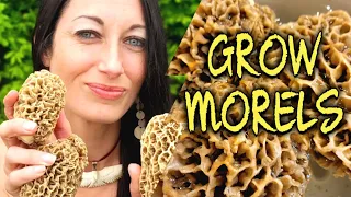 HOW TO GROW MOREL MUSHROOMS, SLURRY METHOD #morels #wildfood