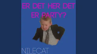 Er Det Her Det Er Party?