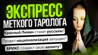 Экспресс Меткого Таролога выпуск от 7 апреля