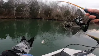 This One Spot Was FULL OF CRAPPIE! Check This RAW Fishing Trip Out On Clinch River, TN