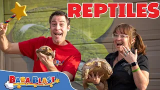 The Largest Reptile Sanctuary in the US! | | Educational Videos for Kids | Baba Blast!