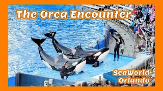 SeaWorld Orlando - Orca Encounter Full Show