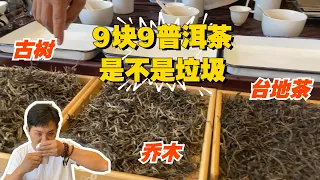 9块9的普洱茶是不是垃圾？这次老高给你答案，专门挑选三种茶进行比较！#普洱茶 #茶文化 #老班章 #古树茶