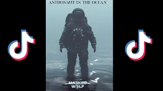 Astronaut In The Ocean TikTok Compilation (MaskedWolf)