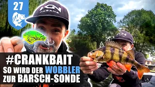 SOMMER-BARSCHE: Powerfishing mit dem KUGELBLITZ