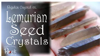 Lemurian Seed Crystals - Activate vs Program for Self Healing Life Lessons