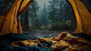Solo Camping In Heavy Rain | Beat Stress Within 3 Minutes To Deep Sleep With Rain On Tent In Forest