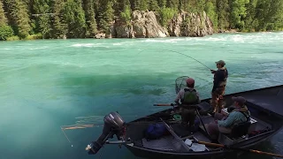 Upper Kenai River Fishing