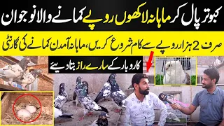 Pigeon Business In Pakistan || New Business Idea || 2 Hazaar Sy Kaam Shroo Krain | Daily Dharti