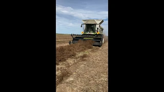 Claas Lexion 8700 Harvesting Red Beet