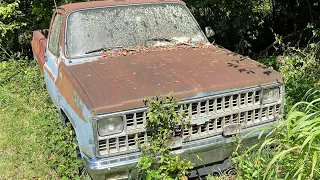 Will it run and drive after 29 years 1981 Chevy