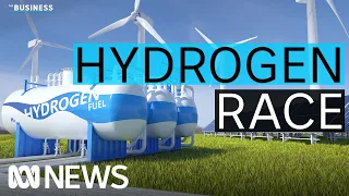 The global race for green hydrogen cash | The Business | ABC News