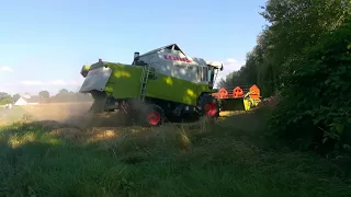 Claas Medion 340 bei der Ernte 2020