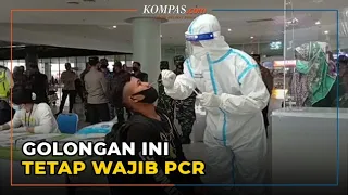 Ini Golongan yang Tetap Wajib Tes PCR dan Antigen sebagai Syarat Perjalanan