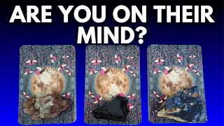 ARE YOU ON THEIR MIND? PICK A CARD TIMELESS TAROT READING