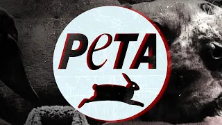 В кроличью нору: PETA