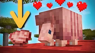 How to Find & Tame Armadillo in Minecraft 1.20.5
