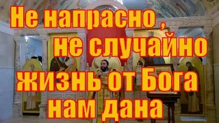 Проповедь иерея Сергия про духовную Жажду Богопознания .