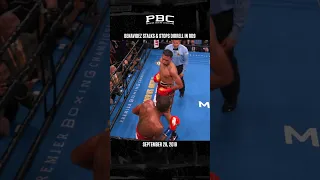David Benavidez Stalks and Stops Anthony Dirrell in RD9