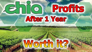 Chia Farming Profits a year later, is it worth it?