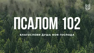 Библия. Псалом 102. Современный перевод / Bible Online