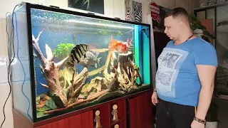 Обзор 900 литрового аквариума